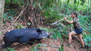 Wild boar has been caught in a trap skills for setting wild boar traps survival alone [upl. by Mckay]