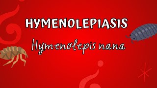 Hymenolepiasis  Hymenolepis nana [upl. by Swann]