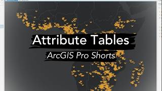 Set Attribute Domains in ArcGIS Pro  Quick Tutorial [upl. by Repmek]