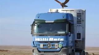 WILLI BETZ TRUCK FLEET VIDEOS PBLACKSHIRE [upl. by Adnilav]