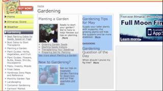 When to plant seedlings [upl. by Liss]