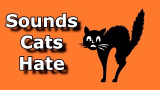 SOUNDS CATS HATE  Sound To Scare Cats and Dogs  Ultrasonic Alarm To Scare Off Animals [upl. by Euqinom]