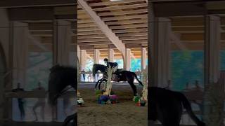 This was one of my warmup jumps lol it was kind of long horse equitation capcutedit horseshow [upl. by Soni]