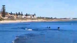 COTTESLOE BEACH PERTH WESTERN AUSTRALIA [upl. by Allemahs129]