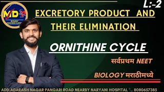 ORNITHINE CYCLEclass 11thNEETncertmd biologylecture 2excretory product and their elimination [upl. by Fania]