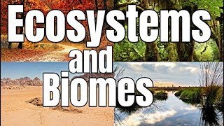 Ecosystems and Biomes  Classroom Learning Video [upl. by Lezah]