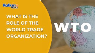 What is the role of the World Trade Organization WTO [upl. by Eelnayr]