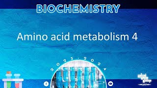 L4 Amino acid metabolism  Glutamic acid Glutamine Aspartic acid Asparagine Biochemistry [upl. by Ybocaj882]