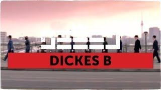 Seeed  Dickes B official Video [upl. by Alleuqcaj]