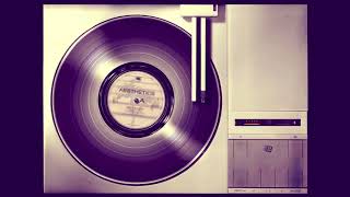 The Pointer Sisters  Im So Excited Slowed down Vinyl Record HQ [upl. by Raseta]