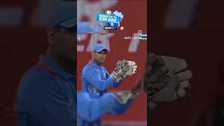 MS DHONI SIGMA sigma trollface indiancricket and subscribe for more [upl. by Nadabb]