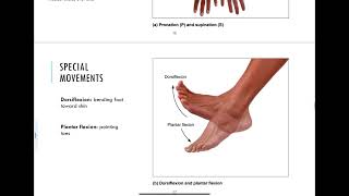 84  Synovial Joints [upl. by Friedlander333]