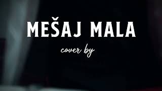 Mesaj mala Andjela Tasic i Lazar Marinkovic cover [upl. by Ilsa]