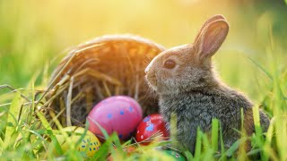 Why does Easter Sundays date change from year to year [upl. by Ailin]