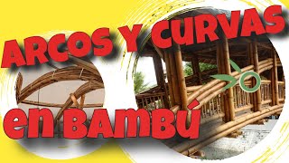 👨‍🏫Te enseño a construir curvas〰️ y arcos con bambú🎋ES MUY SENCILLO👌 [upl. by Acey]