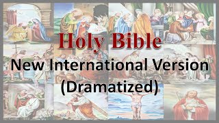 AudioBible NIV 42 Luke Dramatized New International Version High Quality [upl. by Tremml716]