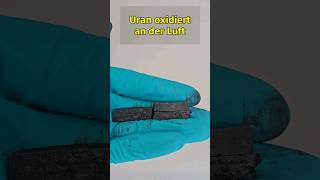 metallisches Uran oxidiert an der Luft chemie uran chemistry experiment [upl. by Aifas]