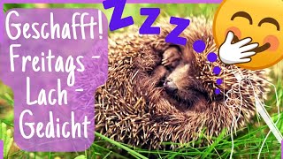 ENDLICH FREITAG  🦊 Lustige Grüße 🤣 für dein Wochenende zum Teilen [upl. by Aneba535]