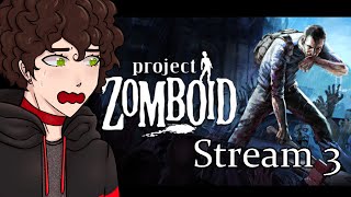 Steek Suffers Further in Project Zomboid S3 [upl. by Nnainot]