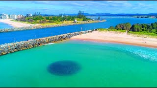 ForsterTuncurry Mullet Run with GREAT WHITES [upl. by Nina487]