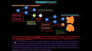 110P  Neoplasia What is Cancer Introduction to Neoplasm [upl. by Ielak920]