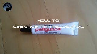 How To Use Crosman Pellgun Oil [upl. by Hilario]