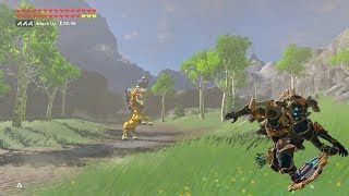 Zelda BOTW Ancient Vah Naboris Link VS Gold Lynel Feat Naydra [upl. by Kalfas551]