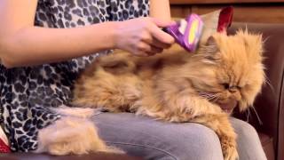 FURminator deShedding instrument voor katten [upl. by George]