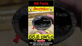 🙏సాలగ్రామం🙏 Mahavishnu roopam in shaligram telugufacts vishnupuran shorts youtubeshorts abfacts [upl. by Luehrmann914]