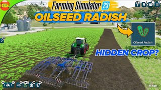 Oilseed Radish New Crop  Farming Simulator 23 Mobile fs23 [upl. by Borchert790]