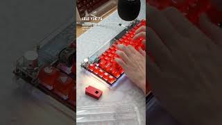 OLED  Knob Keyboard  Lelelab Y2K 76 shorts [upl. by Ahsinac]