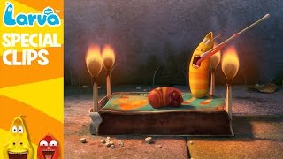 Official LARVA Weekly Best  Funny Animation Compilation  Week 4 NOV 2016 [upl. by Gussman860]