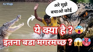 इतना बड़ा मगरमच्छ 😱   Crocodile Hunter  Biggest Crocodile in the World shorts ytshorts yt [upl. by Zennas937]