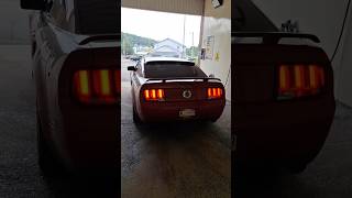 Cammed S197 Mustang Revs at Carwash [upl. by Deloris933]