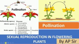 Pollination and its type [upl. by Volpe]