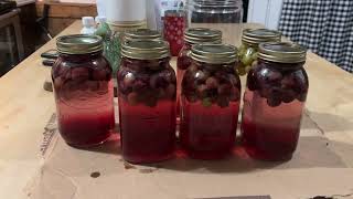 Canning Easy Grape Juice [upl. by Nanerb]