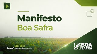 Boa Safra  Manifesto [upl. by Hayton]