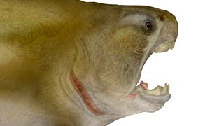 Paleo Profile  Dunkleosteus [upl. by Mail]