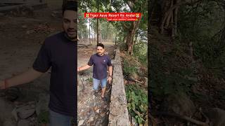 Bengal Tiger inside resort in corbett youtubereels tiger jimcorbett travelvlog viralshort [upl. by Akenahc475]