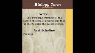 what is acetyl  what is acetylcholine  education biology mbbs science doctor acetylcholine [upl. by Idaf40]