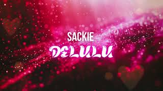 SAKIE  DELULU INSTRUMENTAL  RIDDIM [upl. by Relyk]