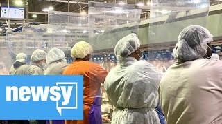 Coronavirus Closing Meat Poultry Plants [upl. by Dorrej877]