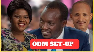 BABU OWINO DECLARED HIMSELF PARTYLESS AFTER HE WAS NOT INCLUDED IN ODM LEADERSHIP BY RAILA ODINGA [upl. by Liana742]