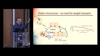 Dominik Dold  Lagrangian dynamics of dendritic microcircuits enables backpropagation Cosyne 2019 [upl. by Syned]