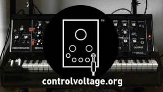 Minimoog D vs Synthesizerscomwmv [upl. by Ecnerual]