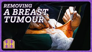 Cutting Death Out Inside the Operating Room with a Breast Cancer Surgeon  Hidden Hustles [upl. by Geraud]