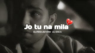 Asim Azher  Jo tu na mila  SlowedReverb [upl. by Solegna]