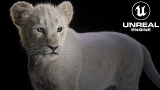 Realistic lion cub White fur in Unreal engine 5 [upl. by Anayd]