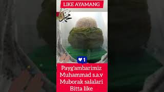 Paygambarimiz Muhammad sav Muborak salalari 💯 ♥️ shoes shortvideos uzbekkino [upl. by Ertha]