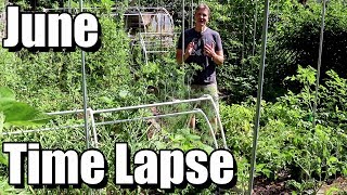 Amazing Garden Transformation in June Garden Time Lapse [upl. by Zingale764]